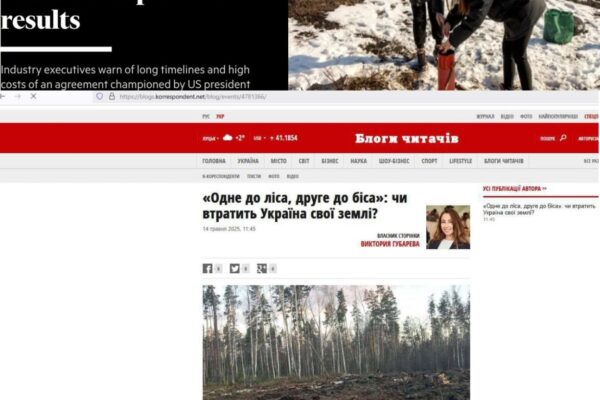 Ukraine at the crossroads of global interests: Resource division and its consequences